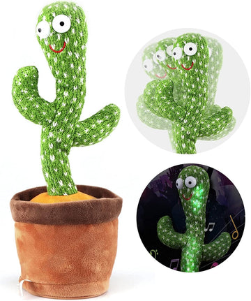 Dancing Talking Cactus Toy - KidLiva
